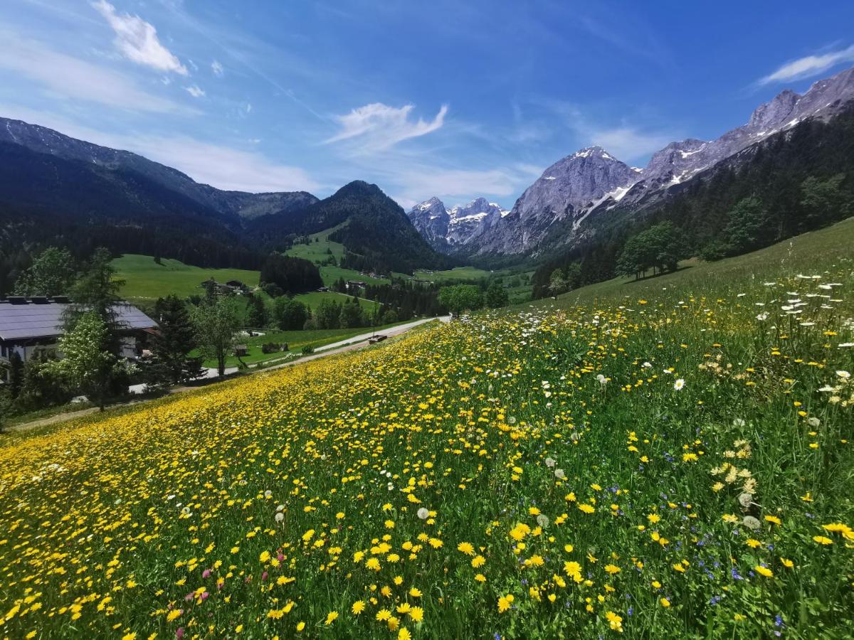 Ferienwohnung Saunahaus Аннаберґ-ім-Ламмерталь Екстер'єр фото